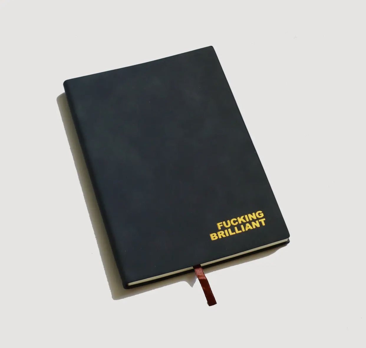 Leather “Fucking Brilliant” Writing Journal Notebook - Little Somethings NYC