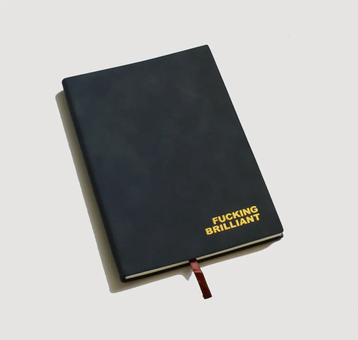 Leather “Fucking Brilliant” Writing Journal Notebook