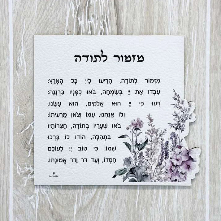 Leather Mizmor letodah magnet 