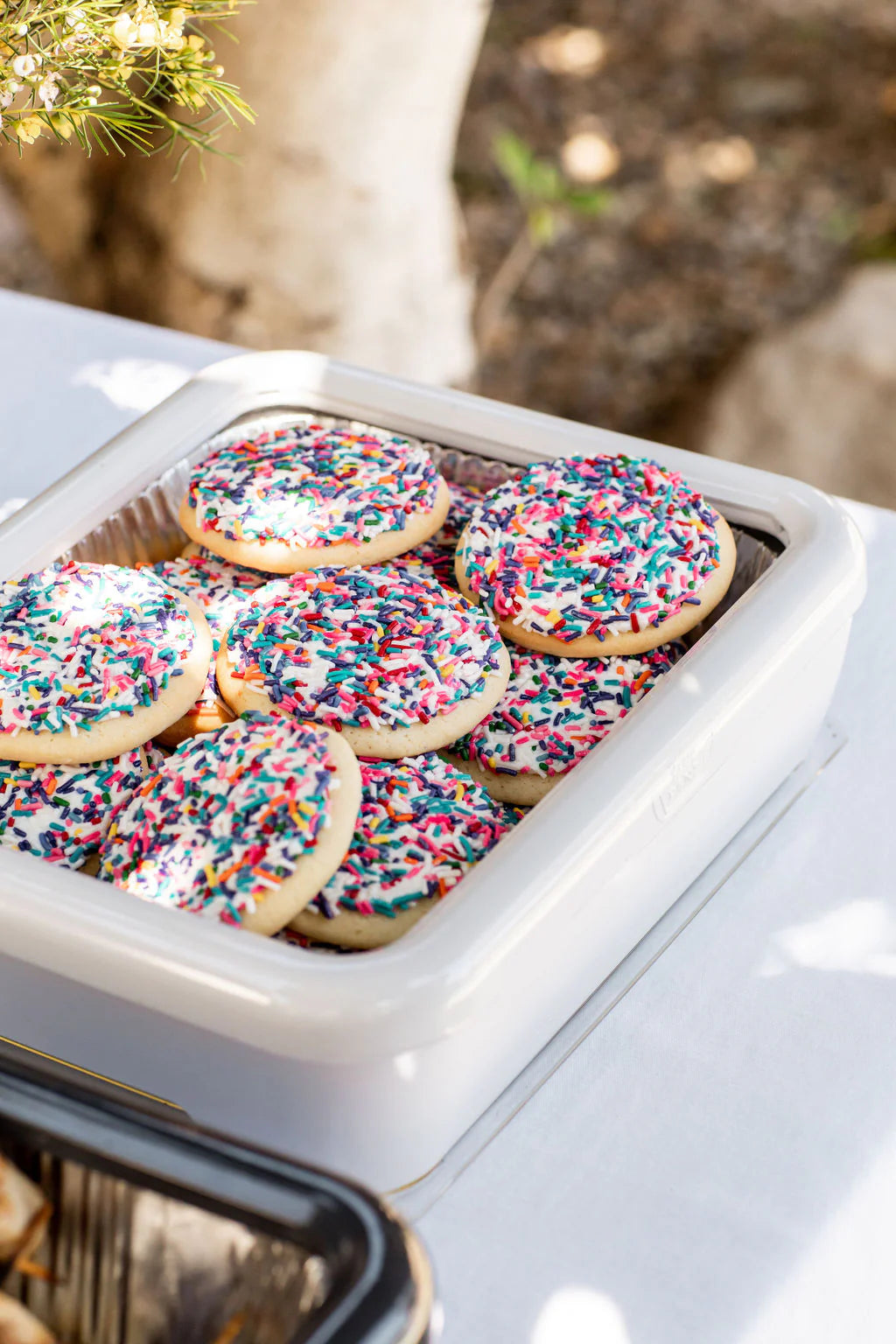 Foil Pan Carrier Holder with Lid- For Disposable Tins