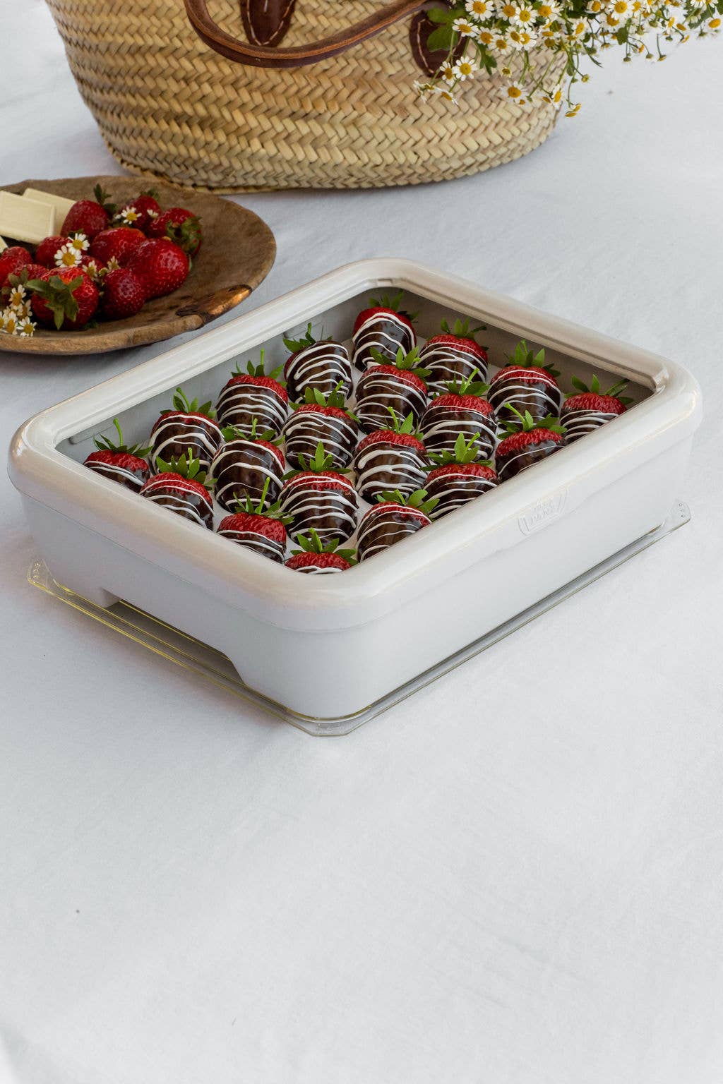 Foil Pan Carrier Holder with Lid- For Disposable Tins